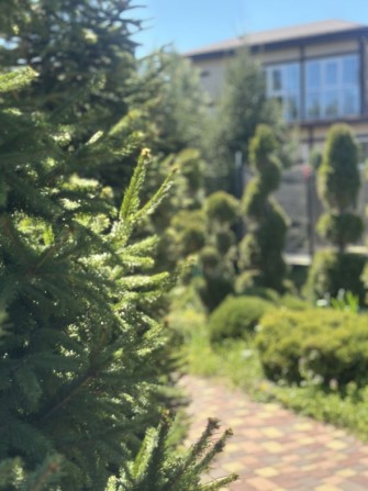 Снимите ДОМ на 12 квартале - фото 1