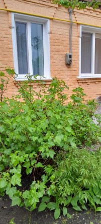 Здам частину будинку - фото 1