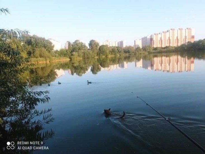 Аренда Домик на берегу озера, Киев, ул. Затишна 4 ,Дарница - фото 1