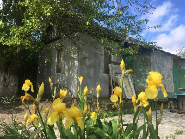 Домік на березі р. Десна з пічним опаленням та всіма зручностями - фото 1