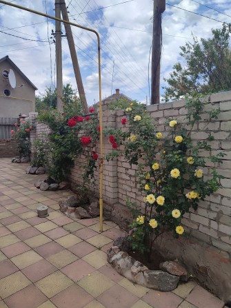 Сдам дом в Богодухове - фото 1