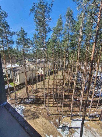Затишна 1 кімнатна квартира в ЖК Sobornyi. Знижка. Розстрочка 24міс! - фото 1