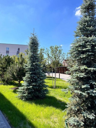 БЕЗ% Продаж 1к кв з власним подвір'ям в ЖК Sanville Park - фото 1