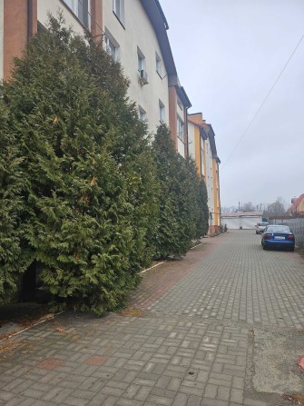 1к в ЦЕНТРІ міста з ремонтом - фото 1