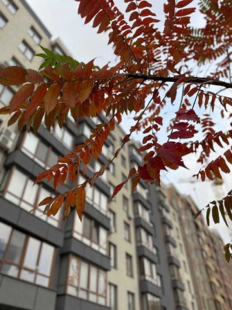 Продам 1 ком квартиру в новом  КИРПИЧНОМ доме с АГВ в Суворовском - фото 1