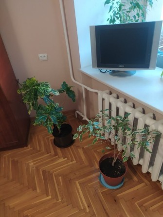 Продається 3-к квартира  на Бульварі - фото 1