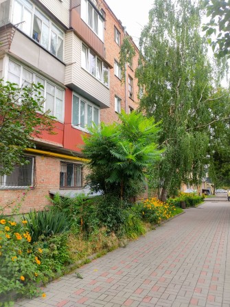 Продається затишна 2-х кімнатна квартира - фото 1