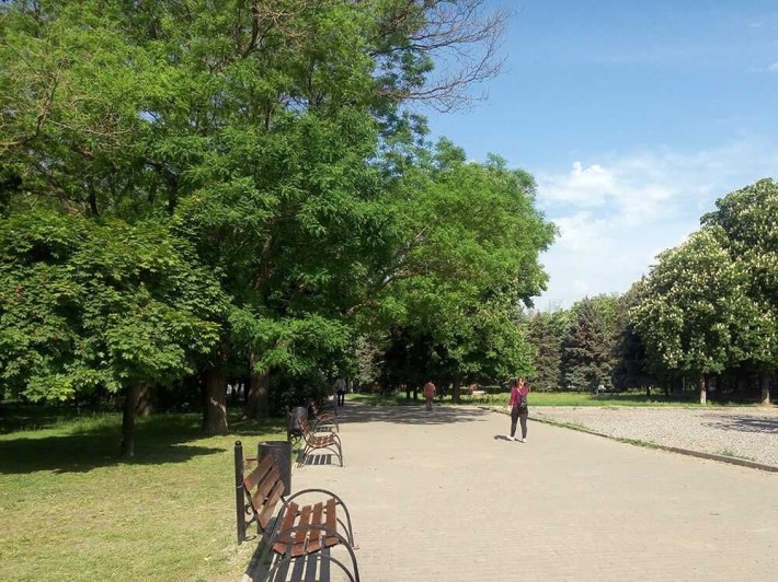 Уютная двухкомнатная квартира близко к парку. - фото 1