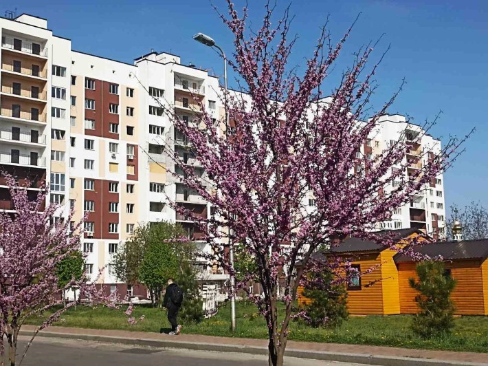 1-к 40м2. Здан! ЖК Сади Вишневі, Соф. Борщагвіка, Вишневе. - фото 1