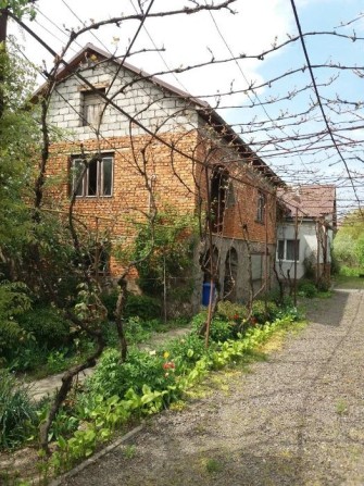 Терміново продається будинок. Виноградів (Королево) Без оренди. - фото 1