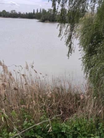 Продам дачу біля води - фото 1