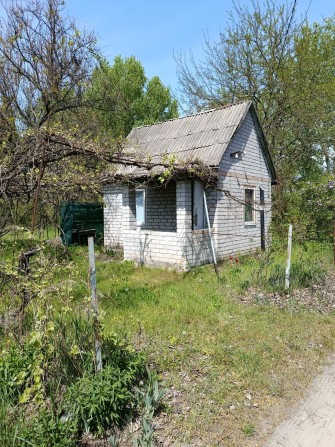 Продам дачу, Власівка, Сади 3 - фото 1