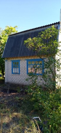 Продам дачу кооператив Сады 4 на берегу залива Днепра. - фото 1