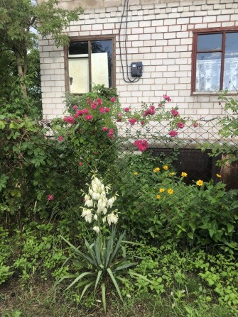 Продам дачу в районе «Чайка» садовое общество «Сосновый Бор» - фото 1