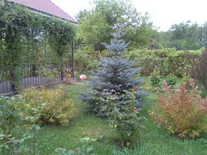 Продам С/О "Каскад" Дом площадью 152 кв.м. Рядом Лес, водохранилище. - фото 1