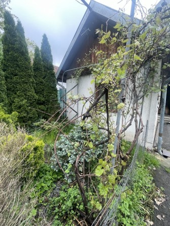 Продам будинок в Дрогобичі - фото 1