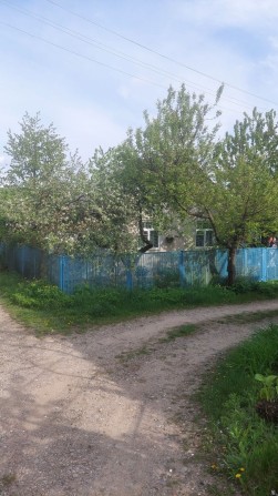 Дача на березі Дністра - фото 1