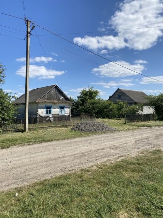 ‼️Земельна ділянка в центрі села Волошки, будинок та сад!‼️ - фото 1