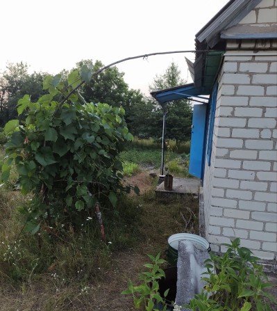 Продам дачну ділянку, можлива забудова в м. Нетішин - фото 1