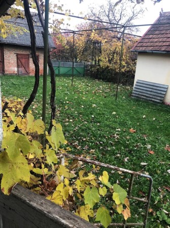 Будинок не далеко від Мукачева - фото 1