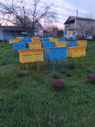 Продам дачу + 30 уликов - фото 1