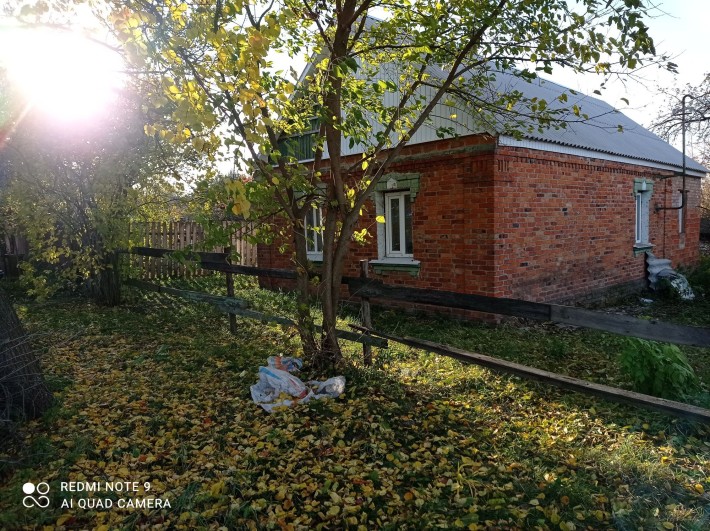 Продам дом с большим участком - фото 1