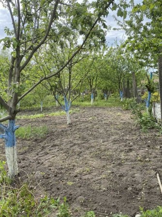 ID: 32374 БУДИНОК Раково - фото 1