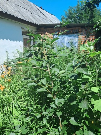 Продам земельну ділянку/будинок під забудову чи капітальний - фото 1