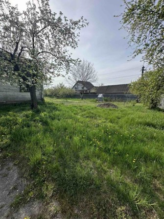 Продаж дачі с. Левків - фото 1