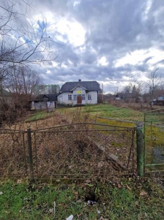 Деревʼяний будинок - фото 1