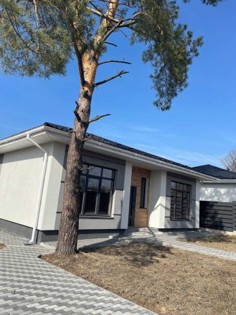 Продається будинок із сосною 118 м² на 5 сотках землі - фото 1