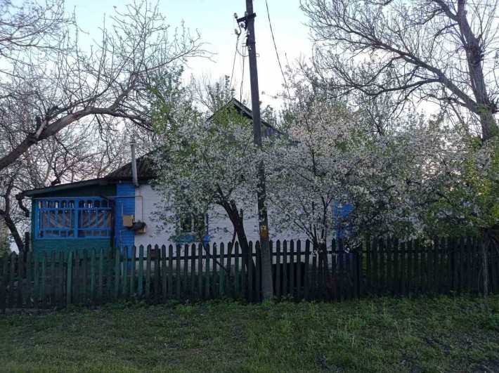 Продається будинок в с. Шандра - фото 1