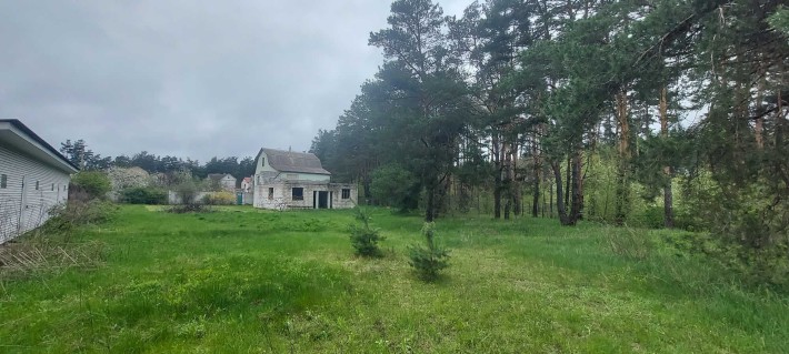 Продається З.Д.з будинком із шматочком власного соснового лісу - фото 1