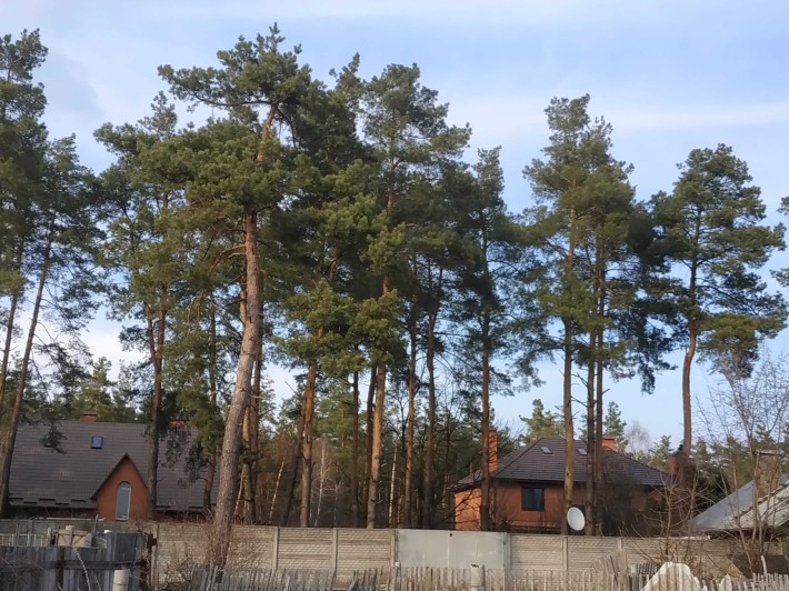 вигідний будинок, поруч Сільпо, Фора, Епіцентр, вул. Київська, 17 сот - фото 1