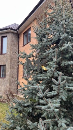Двоповерховий будинок с.Бобриця з ремонтом на 10 соток - фото 1