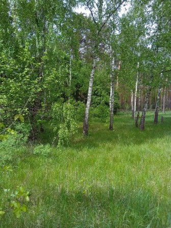 Продам будинок с Горенка  -вихід в Ліс! Р- н Пущі Водиці ! - фото 1