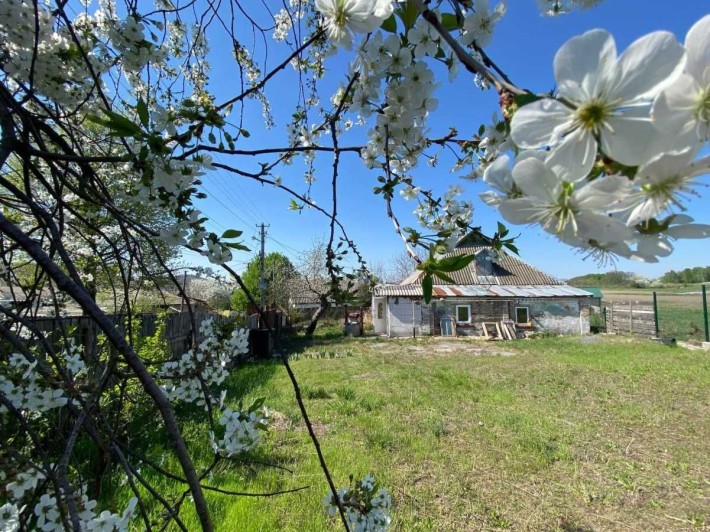 Продаж 3к будинку 110м2, 6 соток землі, сантехніка в подарунок. - фото 1