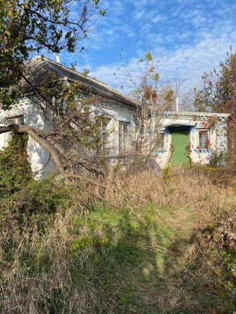 Продажа дома с.Погребы, Васильковский район, Киевская область. - фото 1