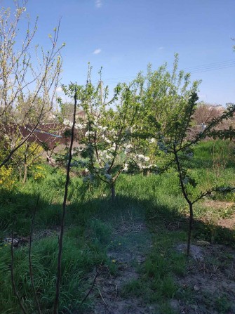 Продаж будинку  Великодолиньске - фото 1