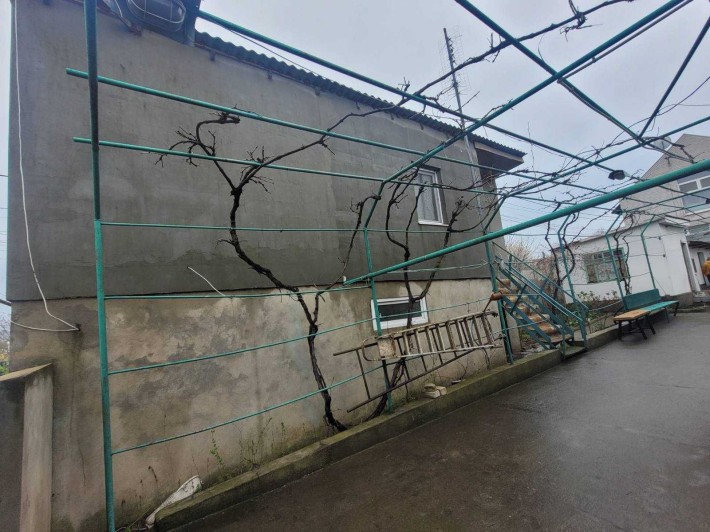 Дом возле моря. Фонтанка 1. - фото 1