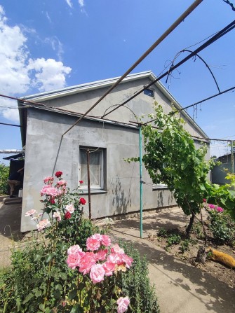 Продам 2 Дома с Газом на Одном Участке! В Светлом - фото 1