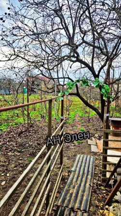 Большой участок с домиком - фото 1