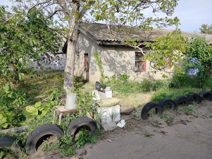 Будинок біля города у Карсунцах - фото 1