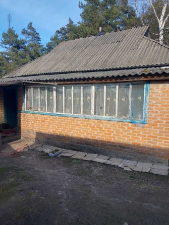 Продам дом с. Соснівка - фото 1