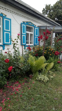 Добротний будинок в селі - фото 1