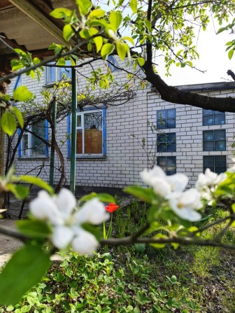 Продам затишну дачу в кооперативі " Сонячна Поляна" - фото 1