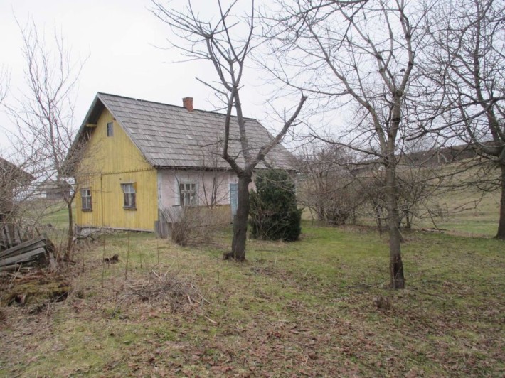 Продаж будинку село Мигове Чернівецька обл. - фото 1