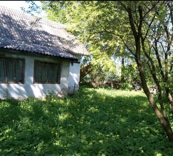 Будинок, с.Кабарівці, Зборівський р-н - фото 1