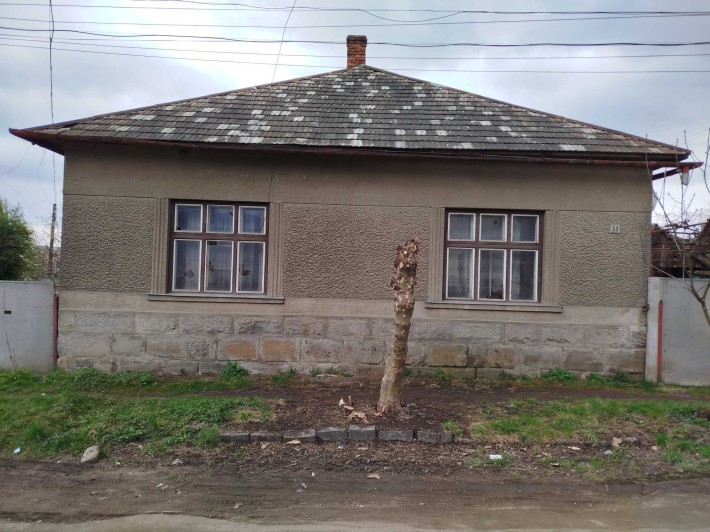 Продається будинок в 40 км від Ужгорода - фото 1