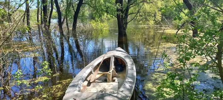 Продам дачу в Чернігові  в районі (урочище Святе, Пролетарський гай) - фото 1